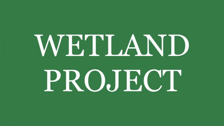 WETLAND PROJECT : Brady Marks et Mark Timmings